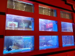 -东富酒家(龙湖西溪天街店)