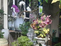 -弗劳尔花艺坊(龙涛店)