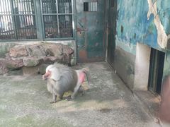 -无锡动物园·太湖欢乐园