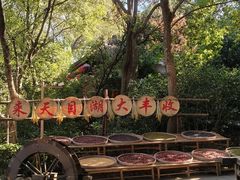 -天目湖山水园