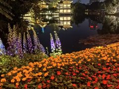 -荔湾湖公园