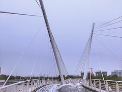 -映月湖中央公园