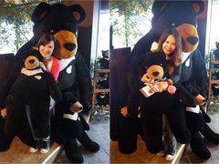 -济州岛泰迪熊博物馆