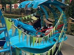 -南宫五洲植物乐园