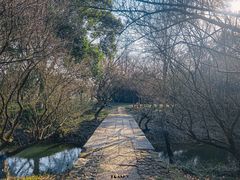 -西溪国家湿地公园