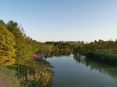 -上海长兴岛郊野公园