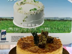 -倾城密码(大唐店)