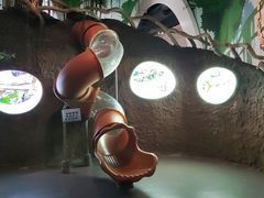 -济南植物园