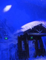 -恐龙探索乐园(磁器口店)