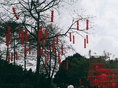 -晓港公园
