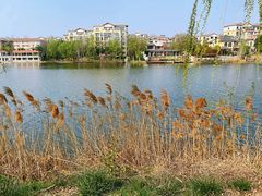 -思念果岭悦温泉