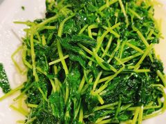 清炒豆苗-凡花楼(拈花湾店)