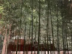 -北京望京凯悦酒店The Lounge大堂酒廊