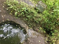 -峡谷浮石林景区