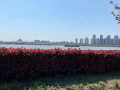 -上海山野camping·户外天幕烧烤·团建拓展营地