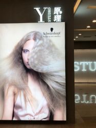 -Y-STUDIO原理