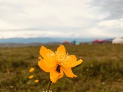 -新疆那拉提国家旅游度假区