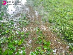 -皇家月府月子中心(沈阳店)