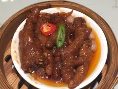 -南枝记