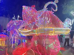 -南宫五洲植物乐园