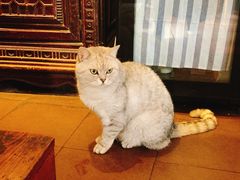 -不舍昼夜咖啡馆
