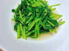-马灯部落·西湖边的创意山景餐厅(虎跑动物园店)