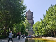 -玲珑塔公园