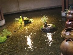 -几荷·恰似故人来(秀水广场店)
