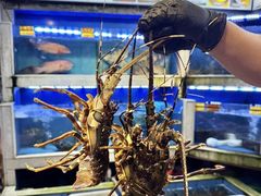 -东江海鲜大排档·潮汕菜·砂锅粥
