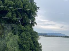 -八仔大富楼·河鲜(西江店)