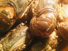 -佛山希尔顿酒店·融誉亚洲美食荟