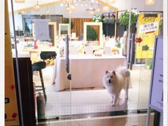 -肆兮眼镜·蔡司·徕卡战略合作店(大坪店)