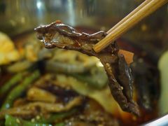 -舒记钵钵鸡