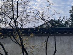 -拙政园