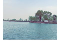 -白洋淀景区