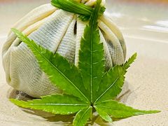 翠素野菜石榴果-明阁