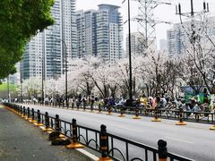 -西北湖绿化广场