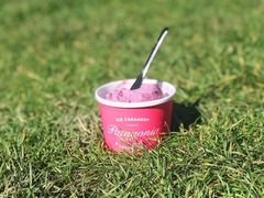 -Patagonia Chocolates(皇后镇店)