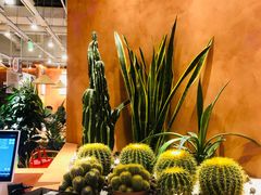 -曼奈·肉桂厨房(华阳城店)