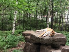 -哈尔滨北方森林动物园