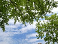 -眉山湿地公园(东坡区)