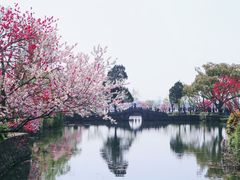 -无锡蠡湖国家湿地公园-蠡园