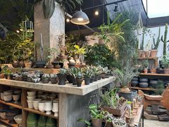 -自由生长植物工作室(深港花卉中心店)