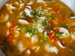 眉山藤椒鱼-爱妻鱼•老体北重庆水煮鱼•川菜(白云路店)