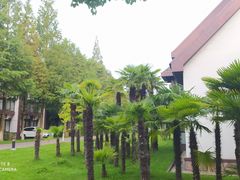 -太阳岛度假酒店