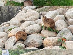 -上海野生动物园