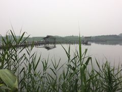 -溱湖国家湿地公园