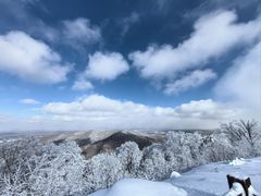 -长白山万达喜来登度假酒店