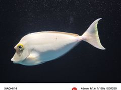 -海合安武汉极地海洋公园