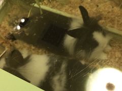 -龙猫仔乐园(惠福东路店)